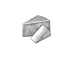 Semi Hard Cheese art